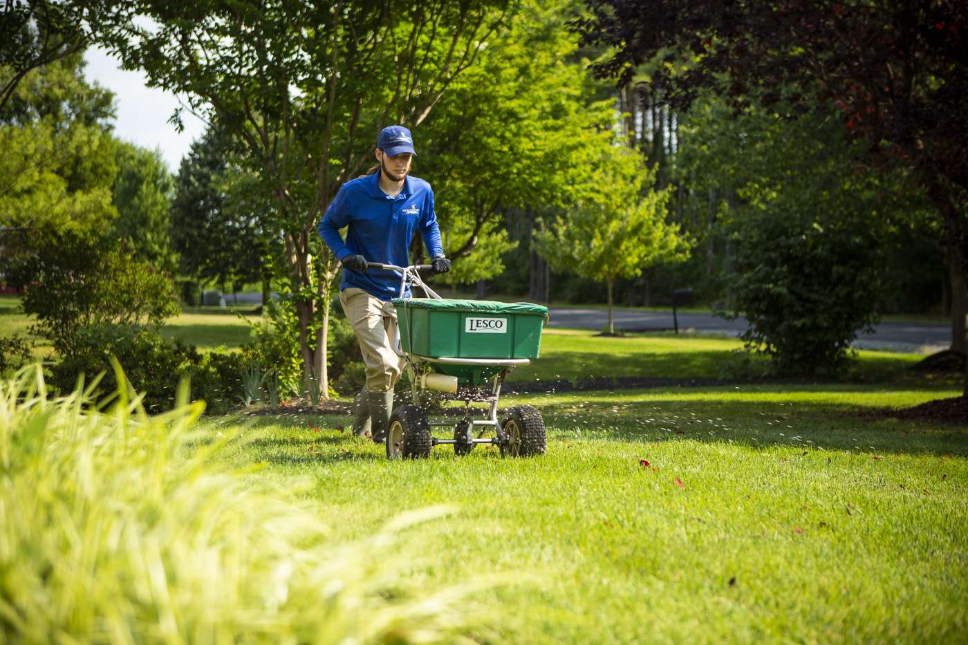 Treating Your Lawn and Watering After Aeration and Overseeding Tips for Northern Virginia
